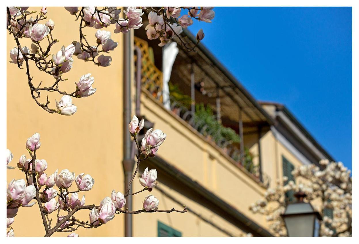 Casa San Girolamo Historic Flat With Cosy Terrace In Lucca'S City Centre エクステリア 写真