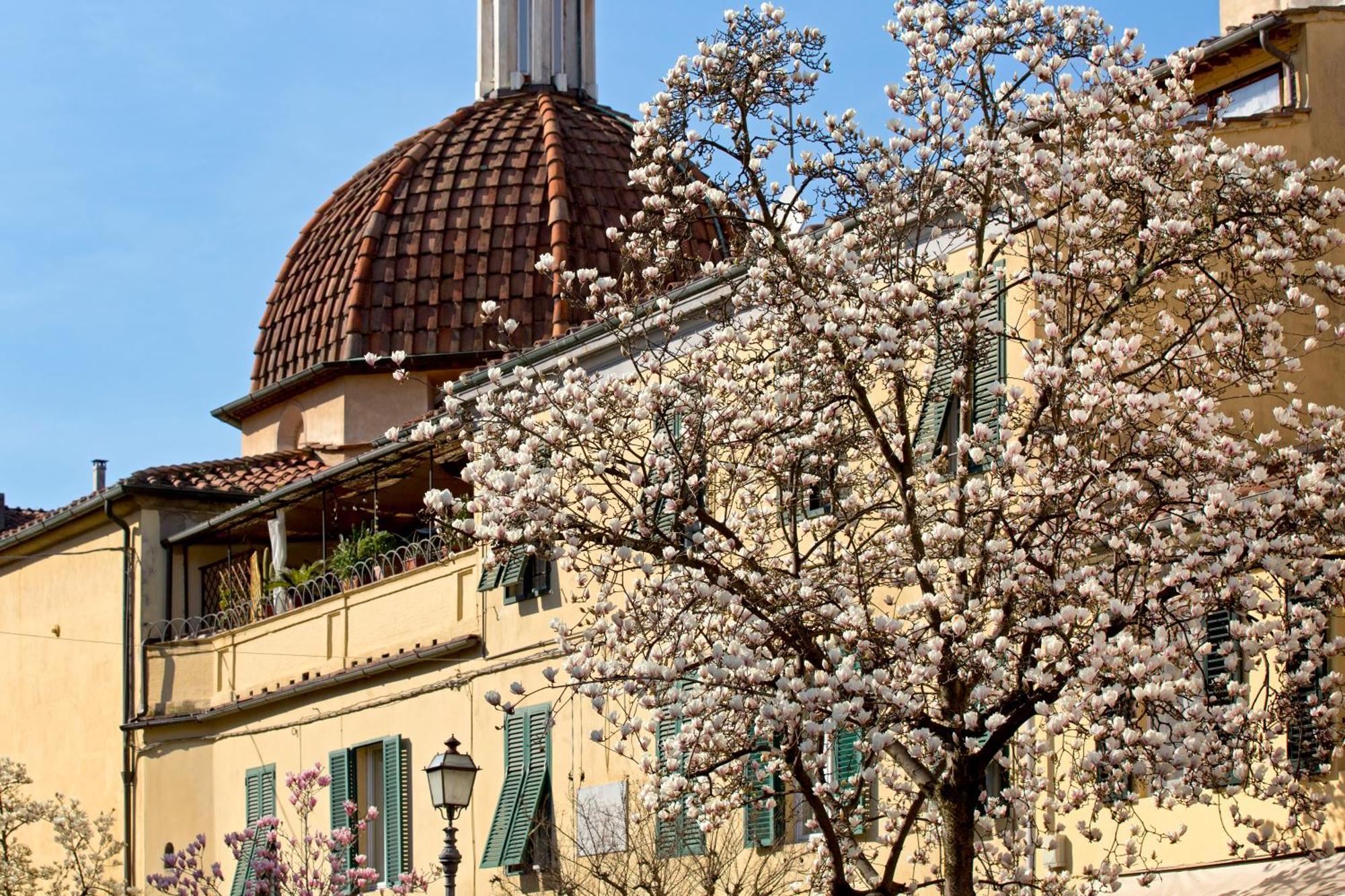 Casa San Girolamo Historic Flat With Cosy Terrace In Lucca'S City Centre エクステリア 写真